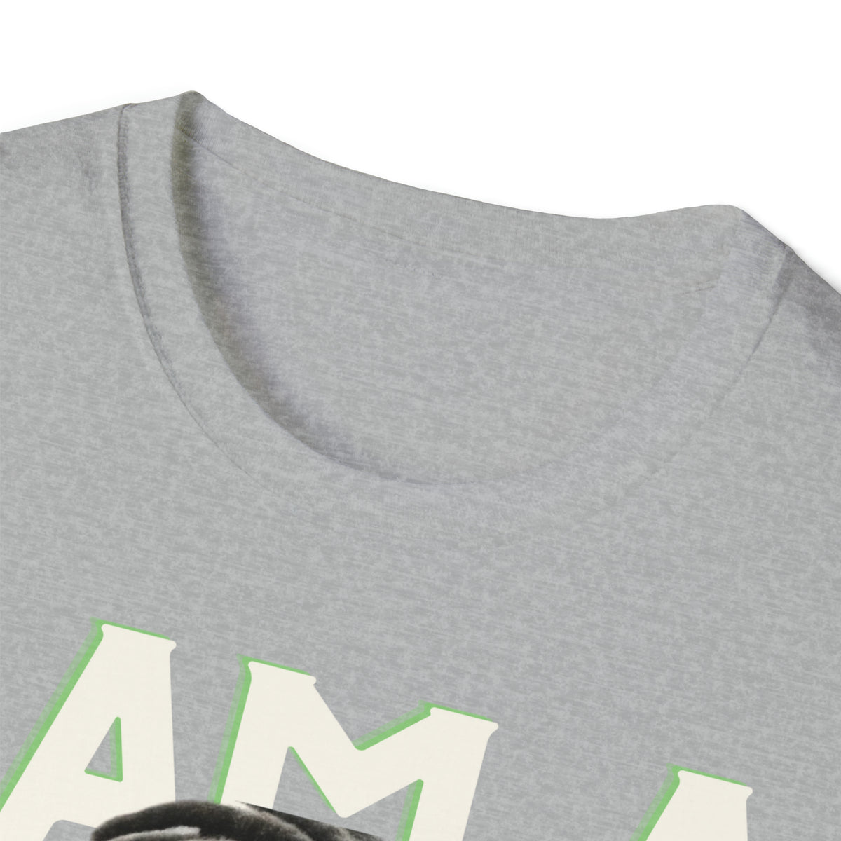THE SILVER SOLDIER "I AM A SUPERHERO" | Adult Unisex Softstyle T-Shirt | Superhero Fashion
