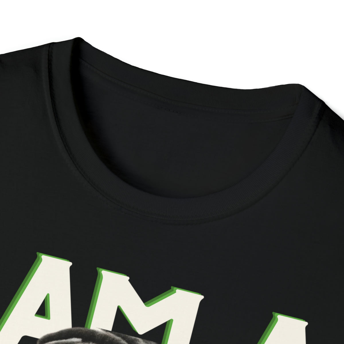 THE SILVER SOLDIER "I AM A SUPERHERO" |  Adult Unisex Softstyle T-Shirt | Superhero Fashion